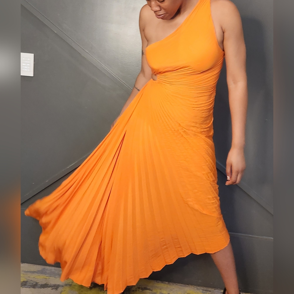A.L.C Dress